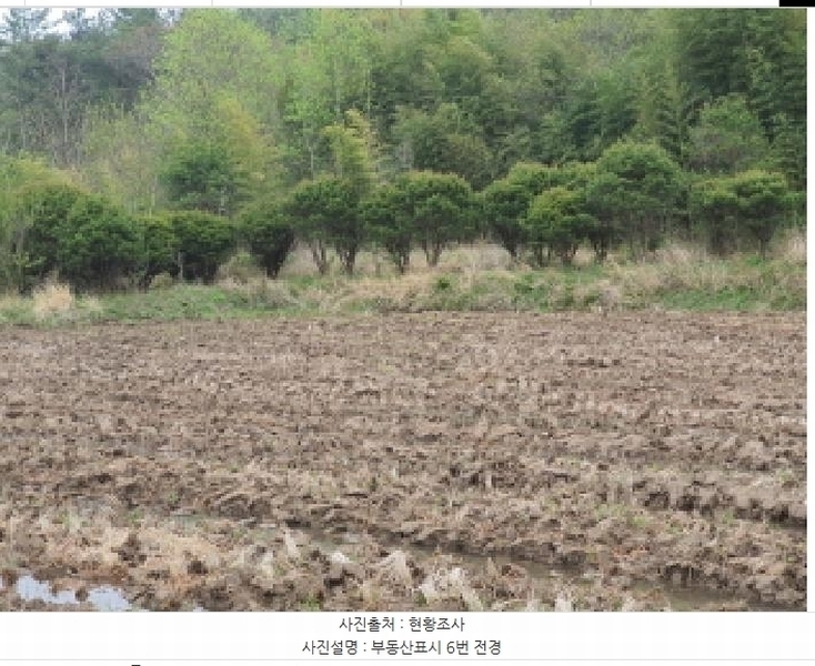 2025타경5234 전라남도 장흥군 장동면 북교리 483 농지 경매 이미지