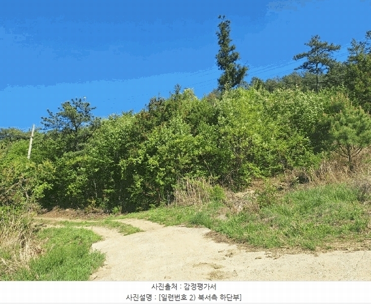 2025타경5251 전라남도 장흥군 장동면 반산리 산17-6 임야 경매 이미지