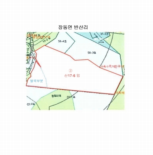2025타경5251 전라남도 장흥군 장동면 반산리 산17-6 임야 경매 이미지