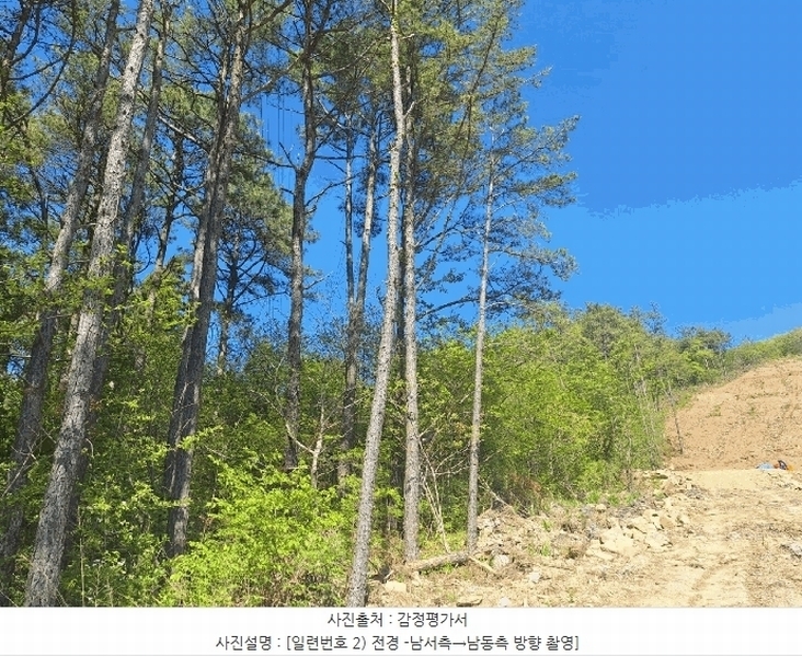 2025타경5251 전라남도 장흥군 장동면 반산리 산17-6 임야 경매 이미지