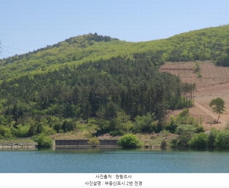2025타경5251 전라남도 장흥군 장동면 반산리 산17-6 임야 경매 이미지