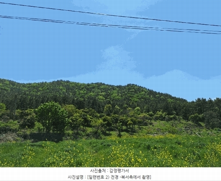2025타경5251 전라남도 장흥군 장동면 반산리 산17-6 임야 경매 이미지