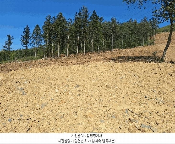 2025타경5251 전라남도 장흥군 장동면 반산리 산17-6 임야 경매 이미지