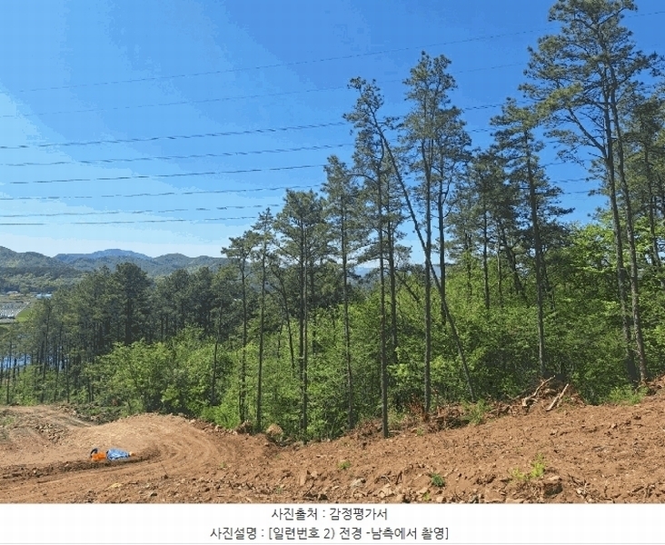 2025타경5251 전라남도 장흥군 장동면 반산리 산17-6 임야 경매 이미지