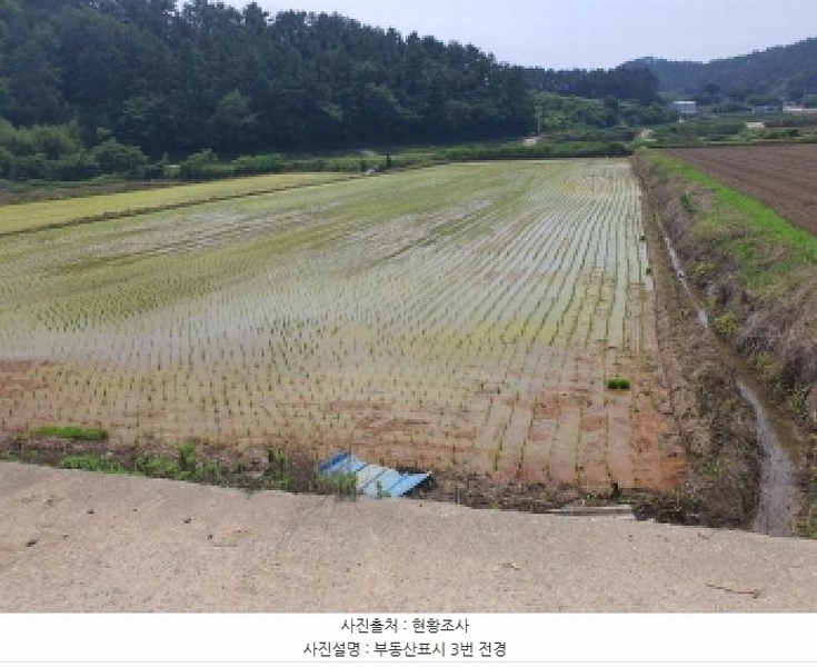 2025타경5265 전라남도 강진군 마량면 원포리 505-6 농지 경매 이미지