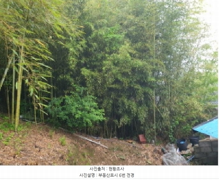 2025타경5277 전라남도 장흥군 장동면 북교리 447-1 대지 경매 이미지