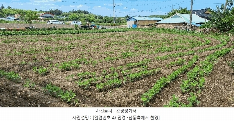 2025타경5278 전라남도 장흥군 장평면 용강리 305 대지 경매 이미지