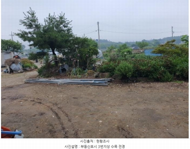 2025타경5278 전라남도 장흥군 장평면 용강리 305 대지 경매 이미지