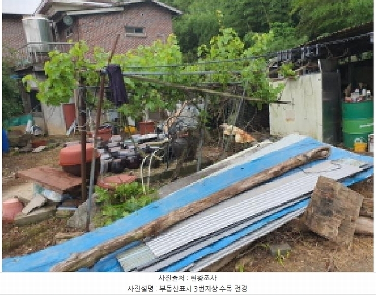 2025타경5278 전라남도 장흥군 장평면 용강리 305 대지 경매 이미지