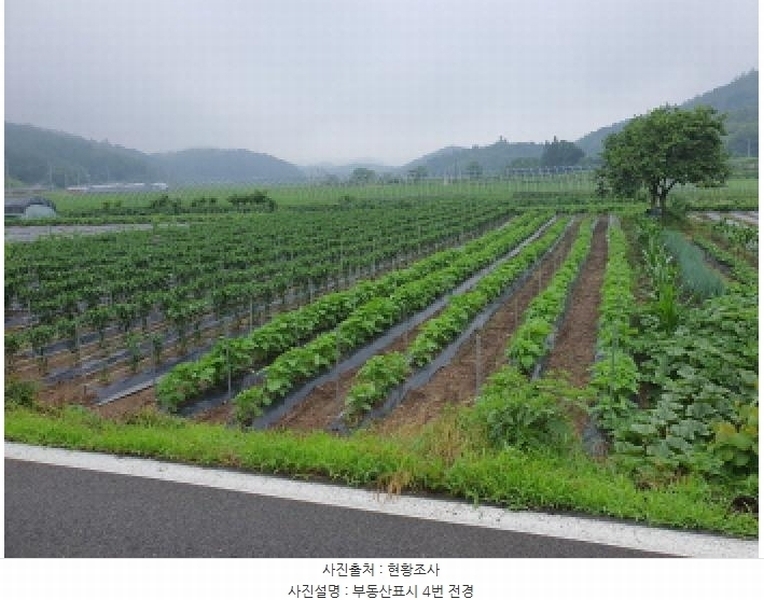 2025타경5278 전라남도 장흥군 장평면 용강리 305 대지 경매 이미지