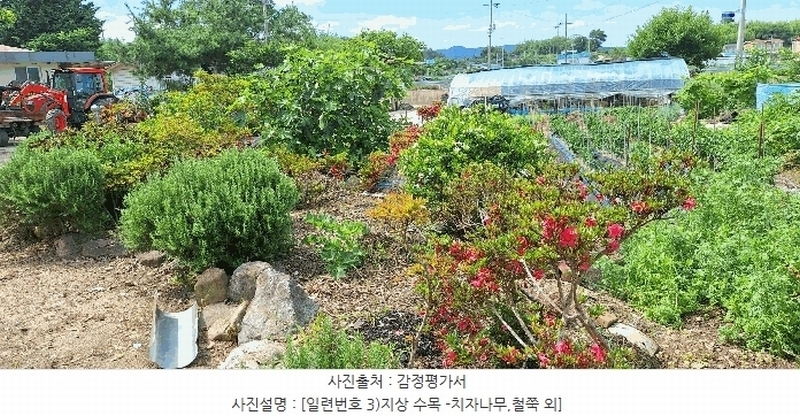 2025타경5278 전라남도 장흥군 장평면 용강리 305 대지 경매 이미지