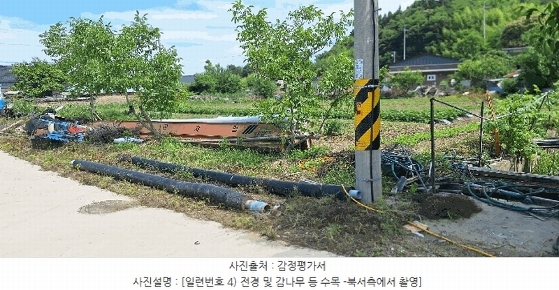 2025타경5278 전라남도 장흥군 장평면 용강리 305 대지 경매 이미지