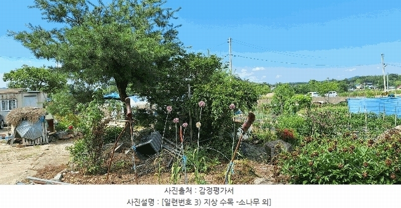 2025타경5278 전라남도 장흥군 장평면 용강리 305 대지 경매 이미지
