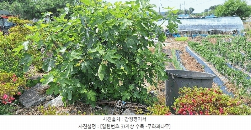 2025타경5278 전라남도 장흥군 장평면 용강리 305 대지 경매 이미지