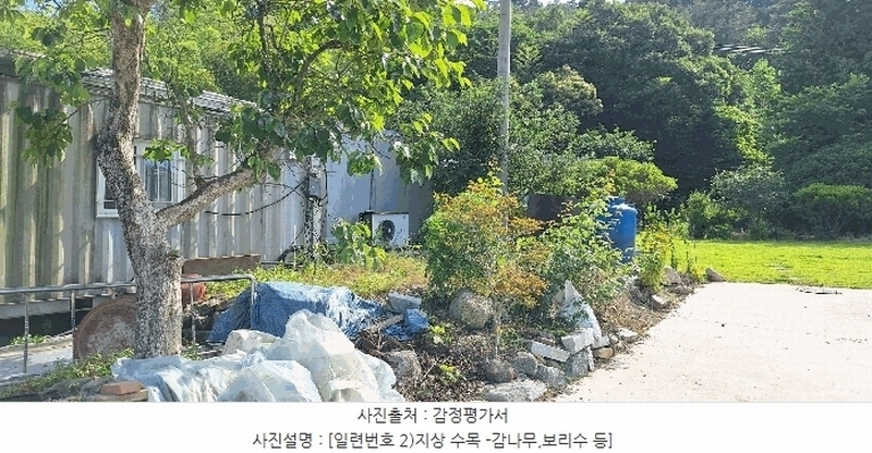2025타경5278 전라남도 장흥군 장평면 용강리 305 대지 경매 이미지