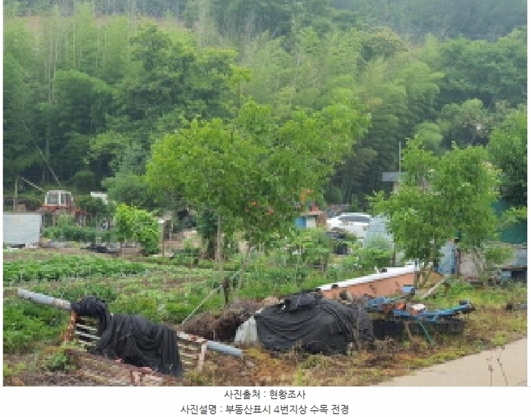 2025타경5278 전라남도 장흥군 장평면 용강리 305 대지 경매 이미지