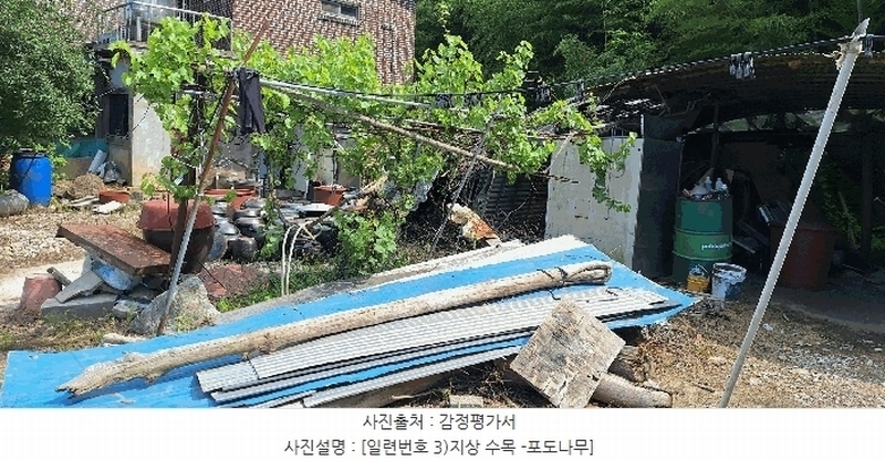 2025타경5278 전라남도 장흥군 장평면 용강리 305 대지 경매 이미지