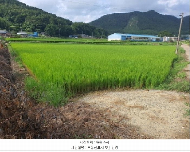 2025타경5293 전라남도 강진군 마량면 영동리 610-6 농지 경매 이미지