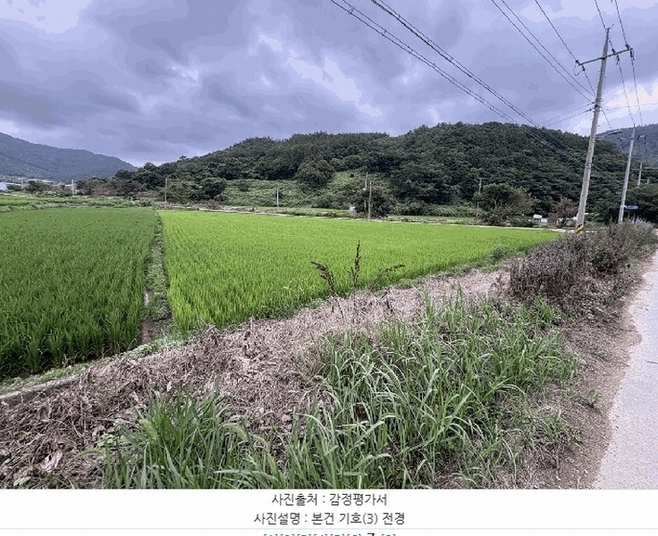 2025타경5293 전라남도 강진군 마량면 영동리 610-6 농지 경매 이미지