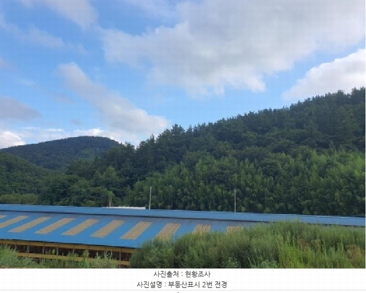 2025타경5293 전라남도 강진군 마량면 영동리 산119 임야 경매 이미지