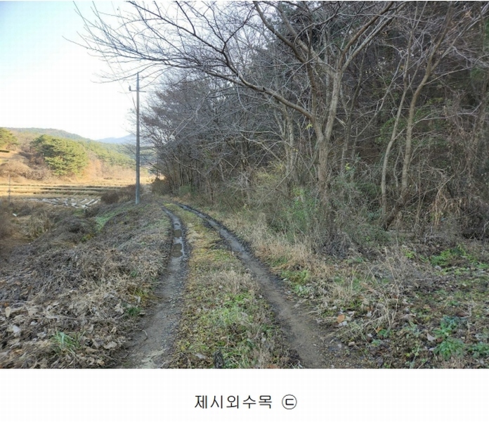 2024타경4815 충청남도 서산시 해미면 오학리 12 농지 경매 이미지