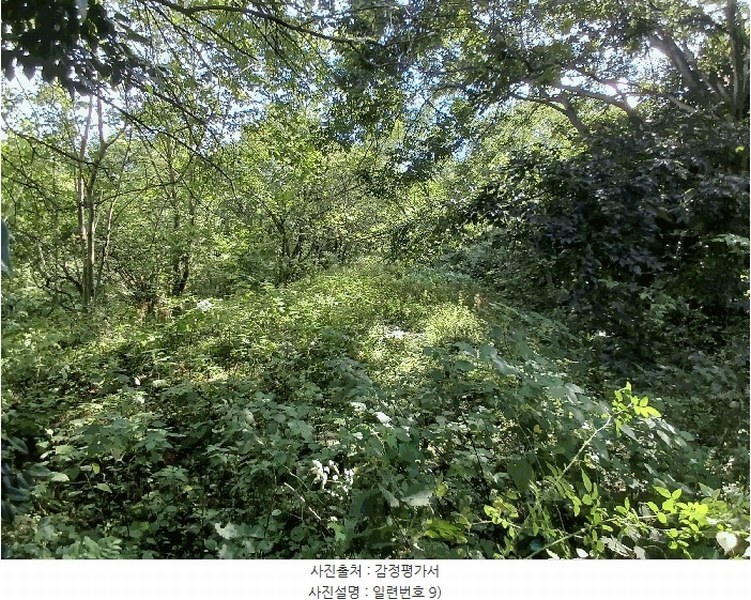 2025타경52021 전라남도 보성군 벌교읍 대포리 541-1 농지 경매 이미지