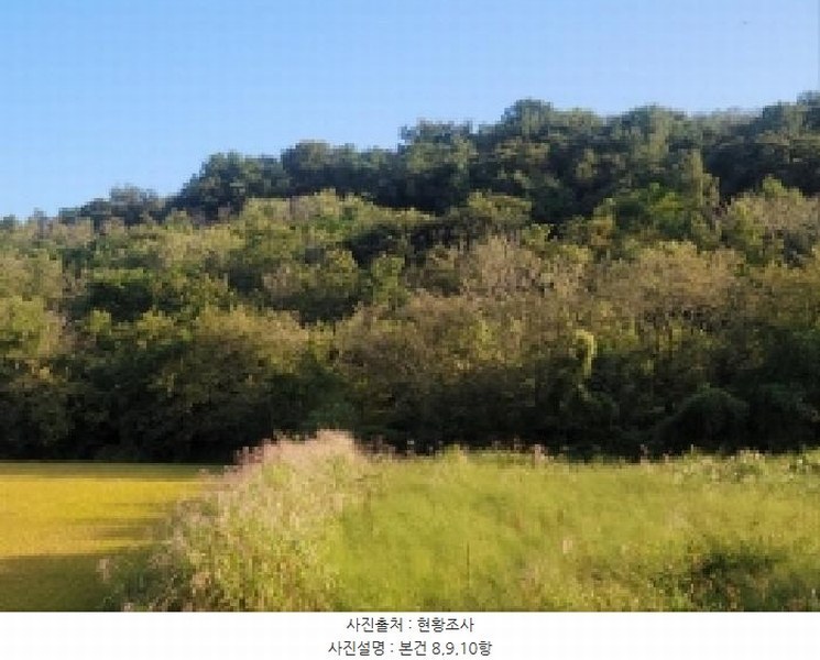 2025타경52021 전라남도 보성군 벌교읍 대포리 542 농지 경매 이미지