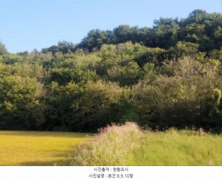 2025타경52021 전라남도 보성군 벌교읍 대포리 542 농지 경매 이미지
