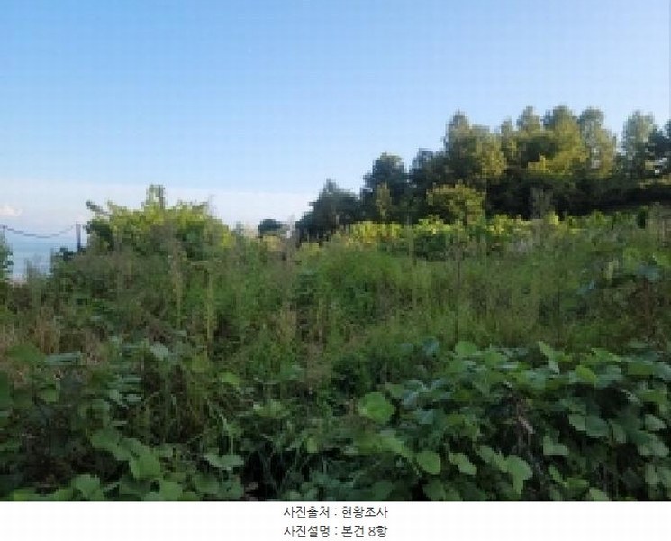2025타경52021 전라남도 보성군 벌교읍 대포리 542 농지 경매 이미지