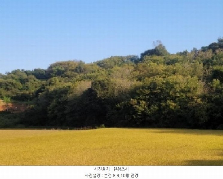 2025타경52021 전라남도 보성군 벌교읍 대포리 542 농지 경매 이미지