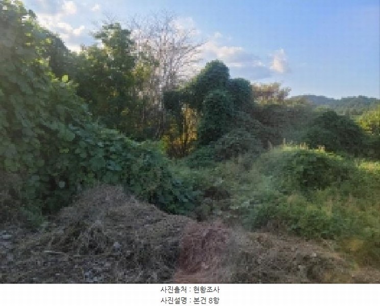 2025타경52021 전라남도 보성군 벌교읍 대포리 542 농지 경매 이미지