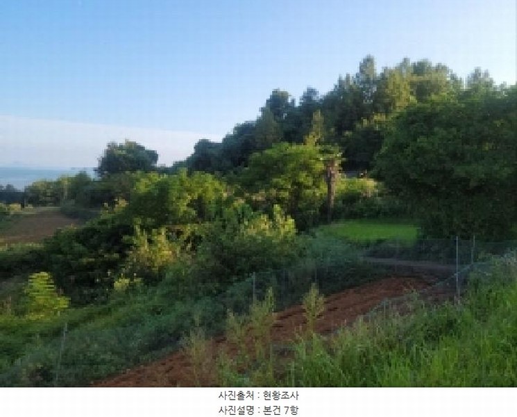 2025타경52021 전라남도 보성군 벌교읍 대포리 545 농지 경매 이미지
