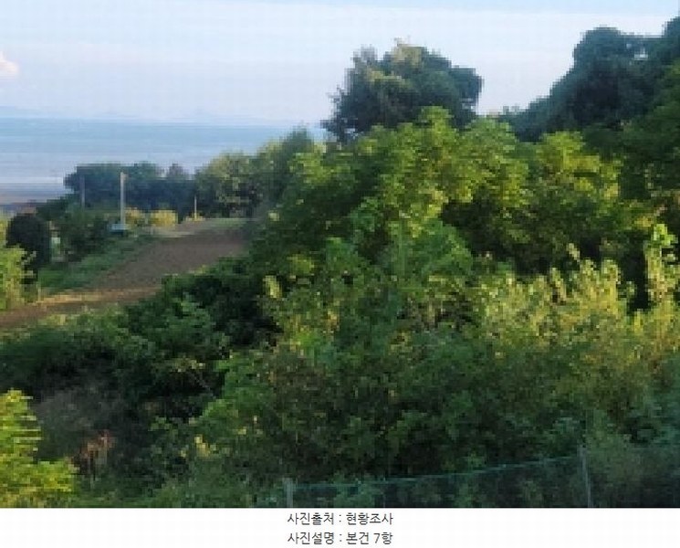 2025타경52021 전라남도 보성군 벌교읍 대포리 545 농지 경매 이미지