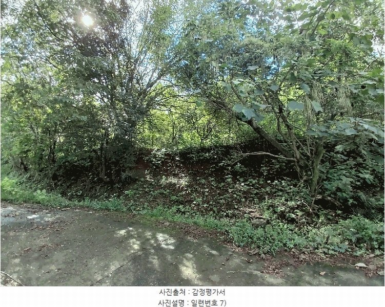 2025타경52021 전라남도 보성군 벌교읍 대포리 545 농지 경매 이미지