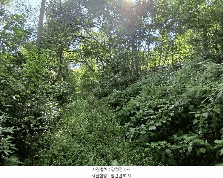 2025타경52021 전라남도 보성군 벌교읍 대포리 441 농지 경매 이미지