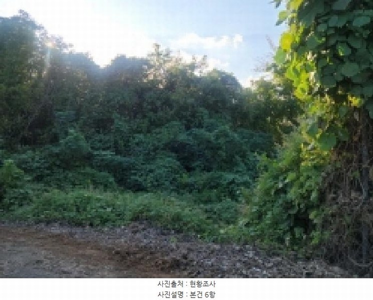 2025타경52021 전라남도 보성군 벌교읍 대포리 442 농지 경매 이미지