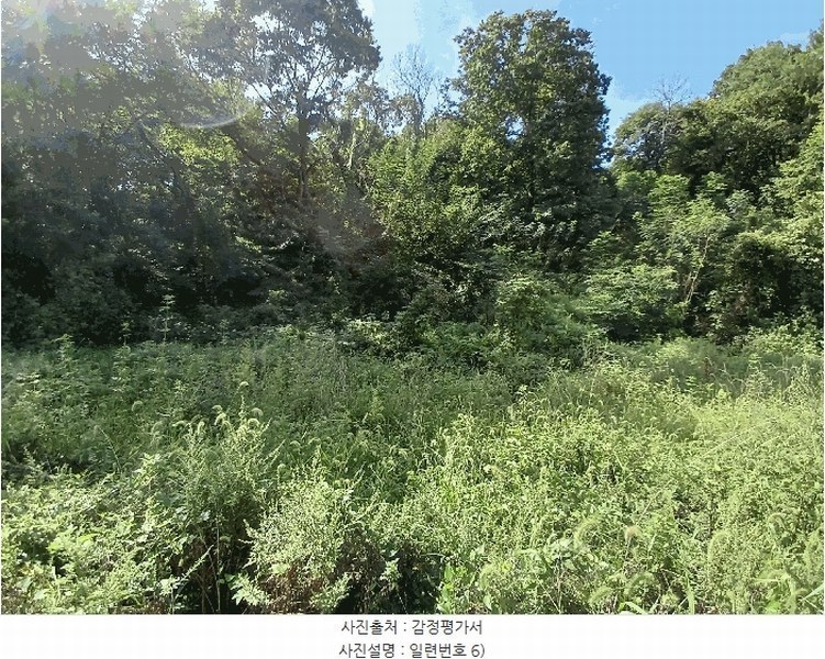 2025타경52021 전라남도 보성군 벌교읍 대포리 442 농지 경매 이미지