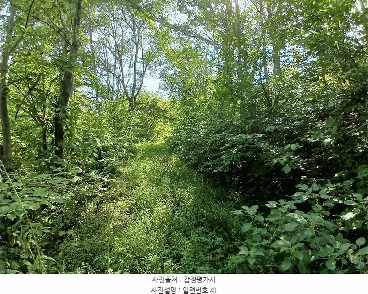 2025타경52021 전라남도 보성군 벌교읍 대포리 442 농지 경매 이미지