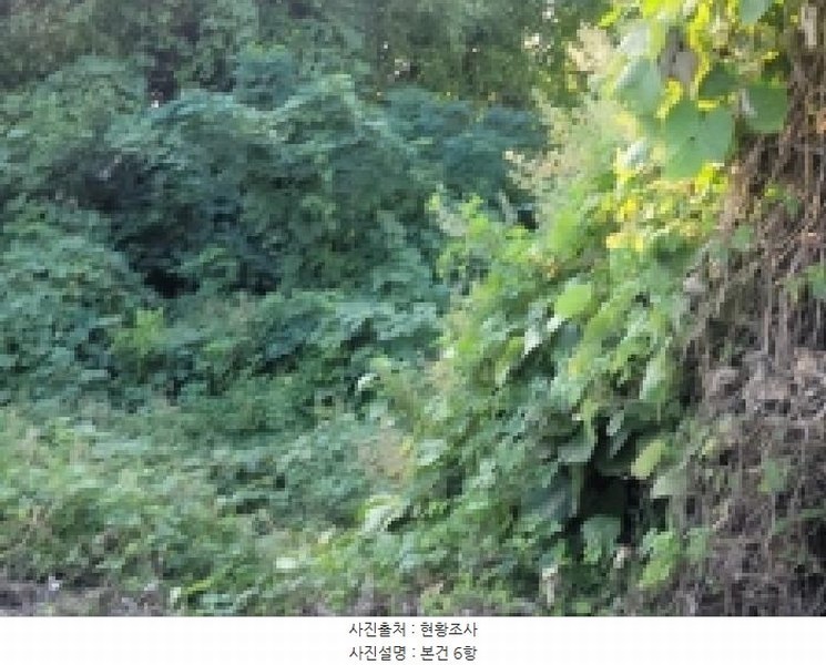 2025타경52021 전라남도 보성군 벌교읍 대포리 442 농지 경매 이미지