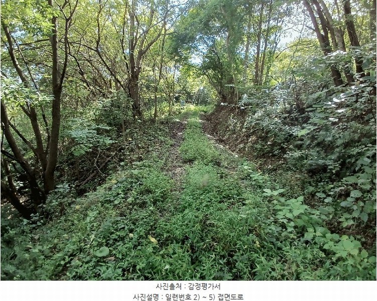 2025타경52021 전라남도 보성군 벌교읍 대포리 443 농지 경매 이미지