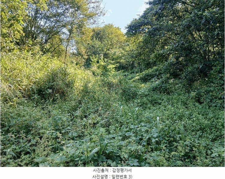 2025타경52021 전라남도 보성군 벌교읍 대포리 443 농지 경매 이미지