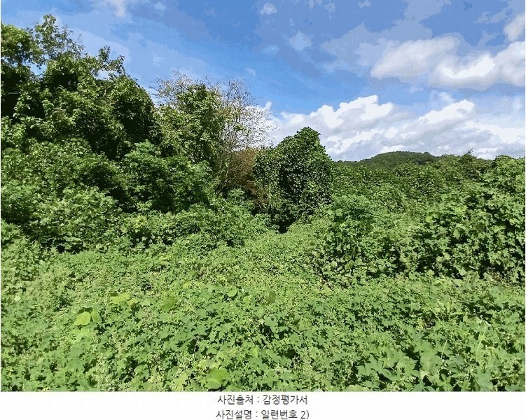 2025타경52021 전라남도 보성군 벌교읍 대포리 444 농지 경매 이미지