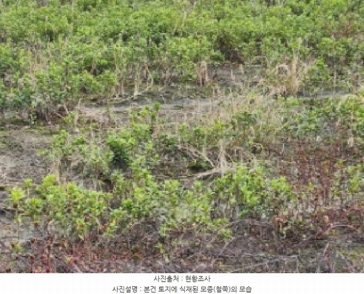 2025타경52099 전라남도 순천시 황전면 황학리 633 농지 경매 이미지