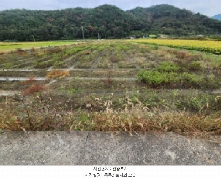 2025타경52099 전라남도 순천시 황전면 황학리 633-2 농지 경매 이미지