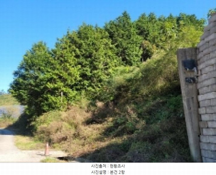 2025타경52123 전라남도 보성군 노동면 대련리 산37 임야 경매 이미지