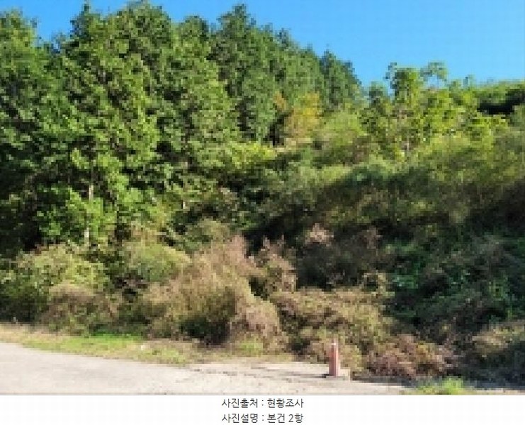 2025타경52123 전라남도 보성군 노동면 대련리 산37 임야 경매 이미지