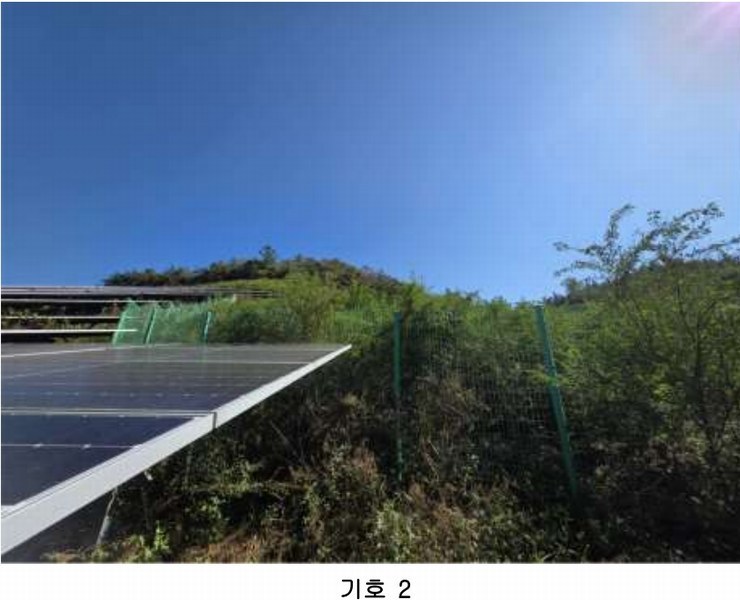 2025타경52123 전라남도 보성군 노동면 대련리 산37 임야 경매 이미지