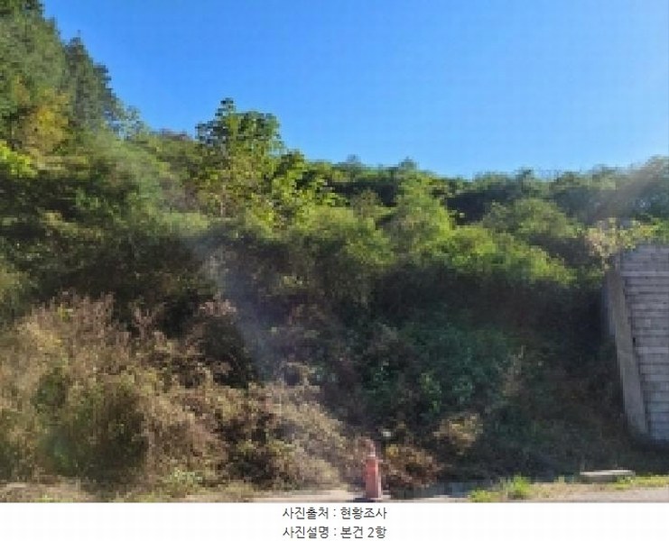 2025타경52123 전라남도 보성군 노동면 대련리 산37 임야 경매 이미지