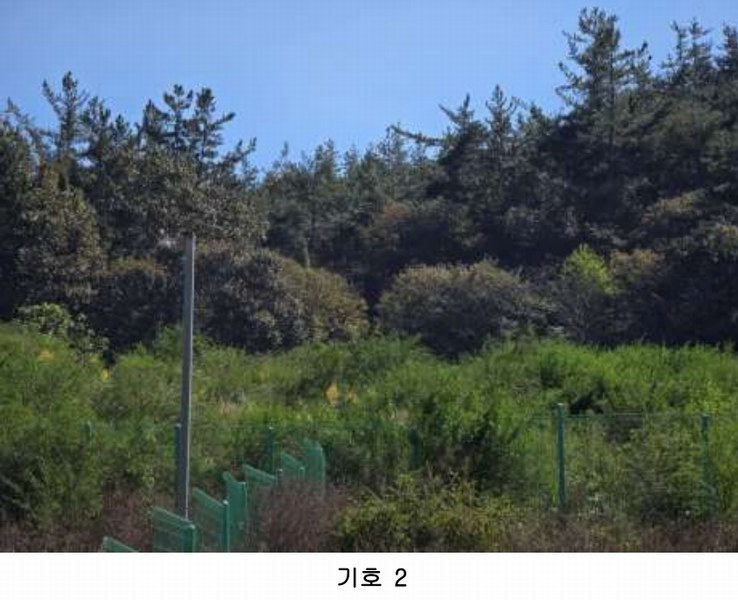 2025타경52123 전라남도 보성군 노동면 대련리 산37 임야 경매 이미지