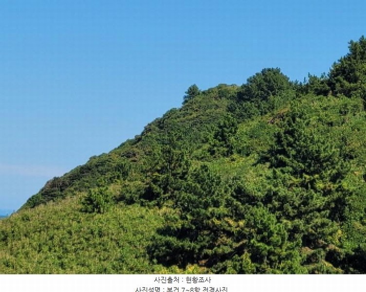 2025타경52165 전라남도 여수시 삼산면 동도리 산106 임야 경매 이미지
